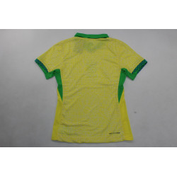 Brasil Player Version Local 2024