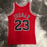 NBA Chicago Bulls JORDAN 23