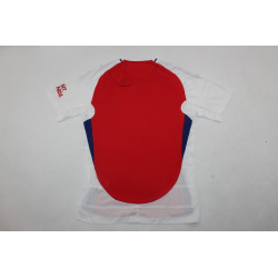 Arsenal Player Version Local 24-25