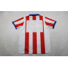 Atletico de Madrid Retro Local 14-15