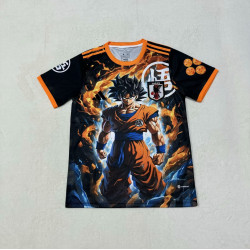 Japon Comic Dragon Ball