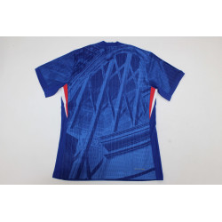 Chelsea Player Version Local 25-26