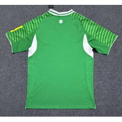 Newcastle Visitante 25-26