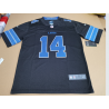 NFL LIONS ST BROWN 14