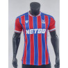 Crystal Palace Player Version Local 25-26