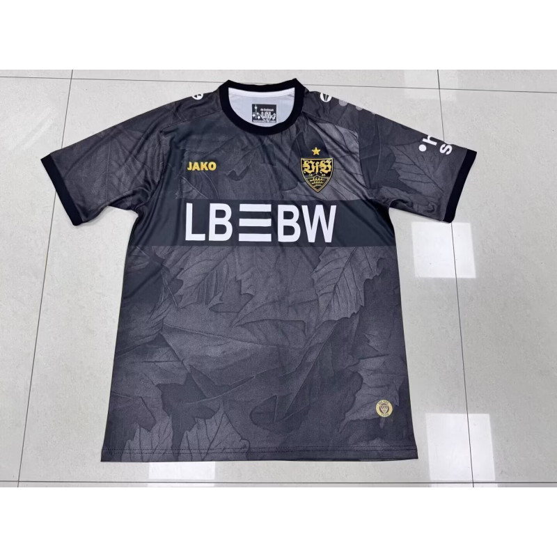 Stuttgart Tercera 25-26