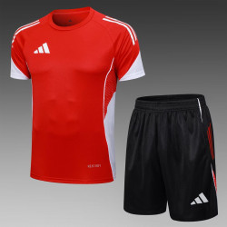 Kit Entrenamiento Rojo AD player