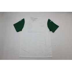 Palmeiras Visitante 25-26