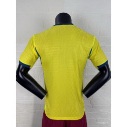 Brasil Player Version Local 2026