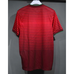 Portugal Retro Player Version Local 2014