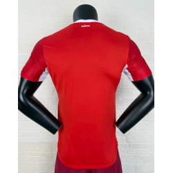 Suiza Player Version Local 25-26