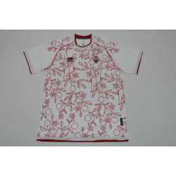 Castellon Visitante 25-26