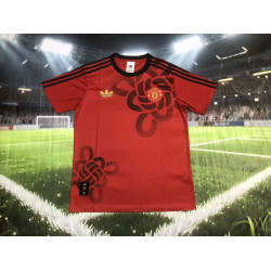 Manchester United Especial...