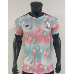 Belgica Player Version...