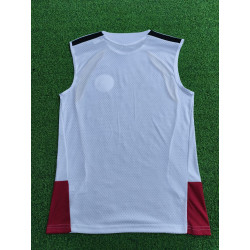 Alemania Entrenamiento Sin Mangas Blanca 2026