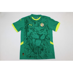 Senegal Visitante 25-26