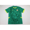 Senegal Visitante 25-26