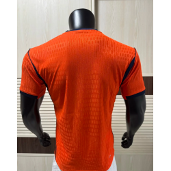 Holanda Player Version Local 2026