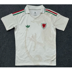 Gales Visitante 2026