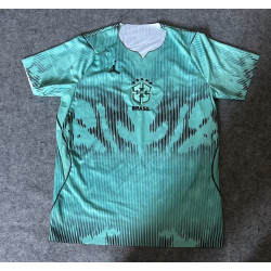 Brasil Portero Verde 2026