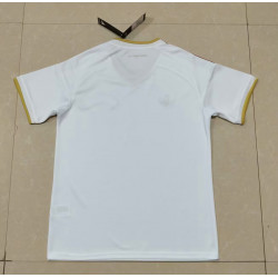 Venezuela Visitante 2026