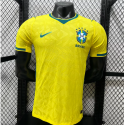 Brasil Player Version Local...