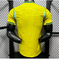 Brasil Player Version Local 2026