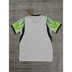 Nigeria Visitante 2026