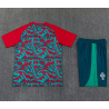 Kit Entrenamiento Portugal Rojo Verde 2026