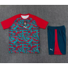Kit Entrenamiento Portugal Rojo Verde 2026
