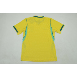 Brasil Player Version Local 2026